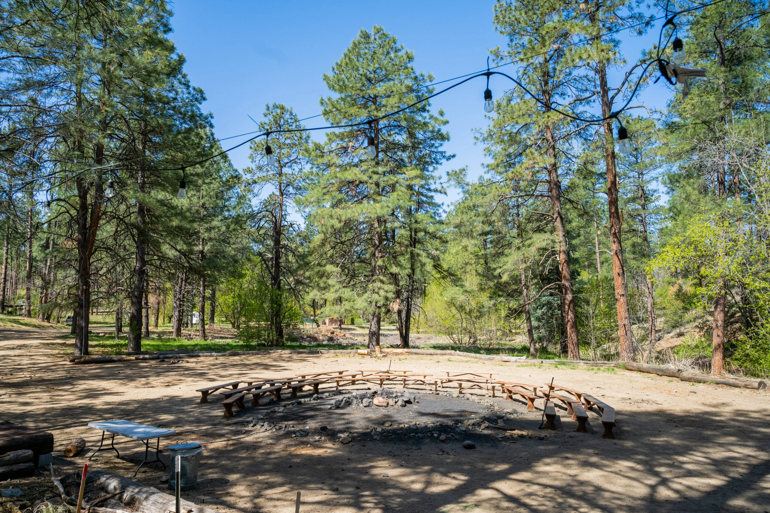 a circular fire pit in the woods