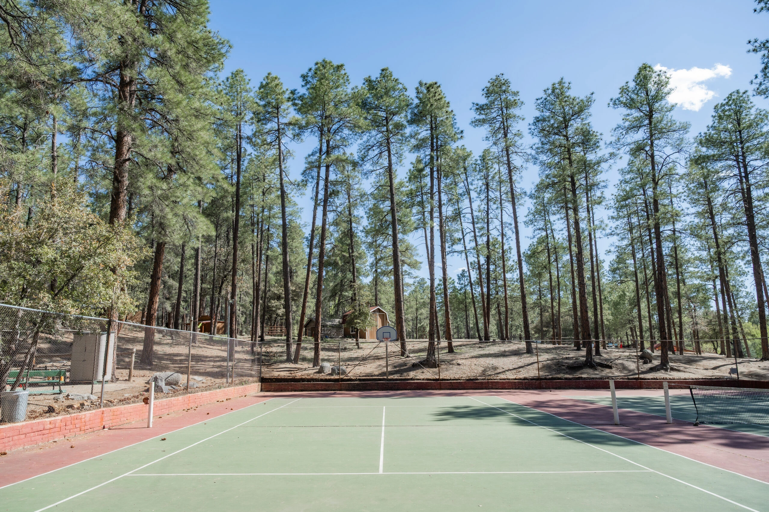 a tennis court with trees in the background