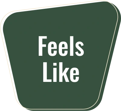 feels like icon