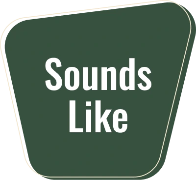 sounds like icon