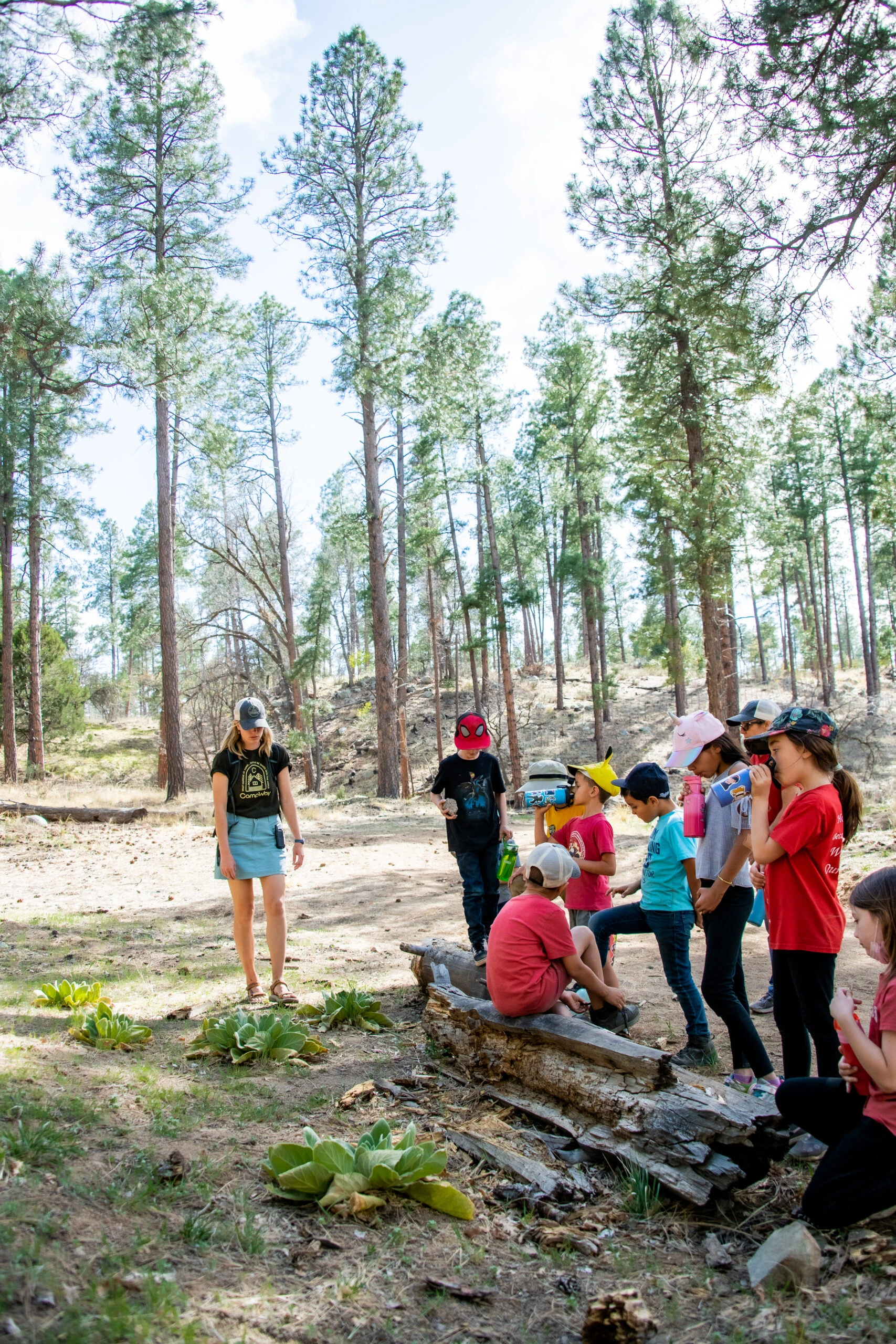 a group of people standing in a forest