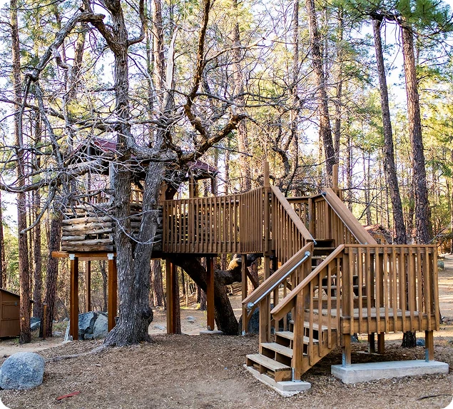 a tree house in the woods