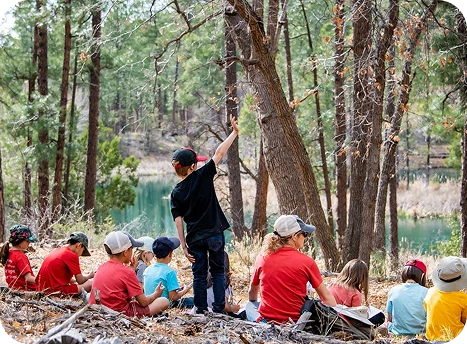 a group of people sitting in the woods