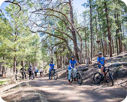 a group of people riding bikes in the woods