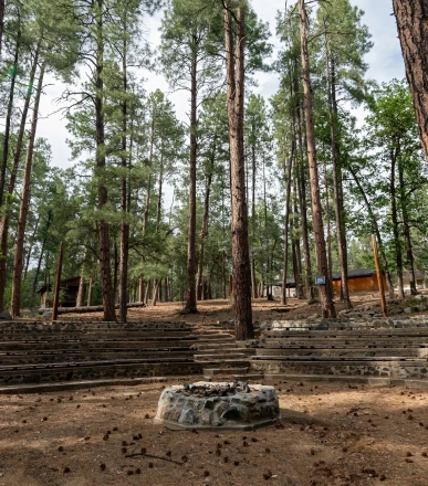 a stone steps in a forest